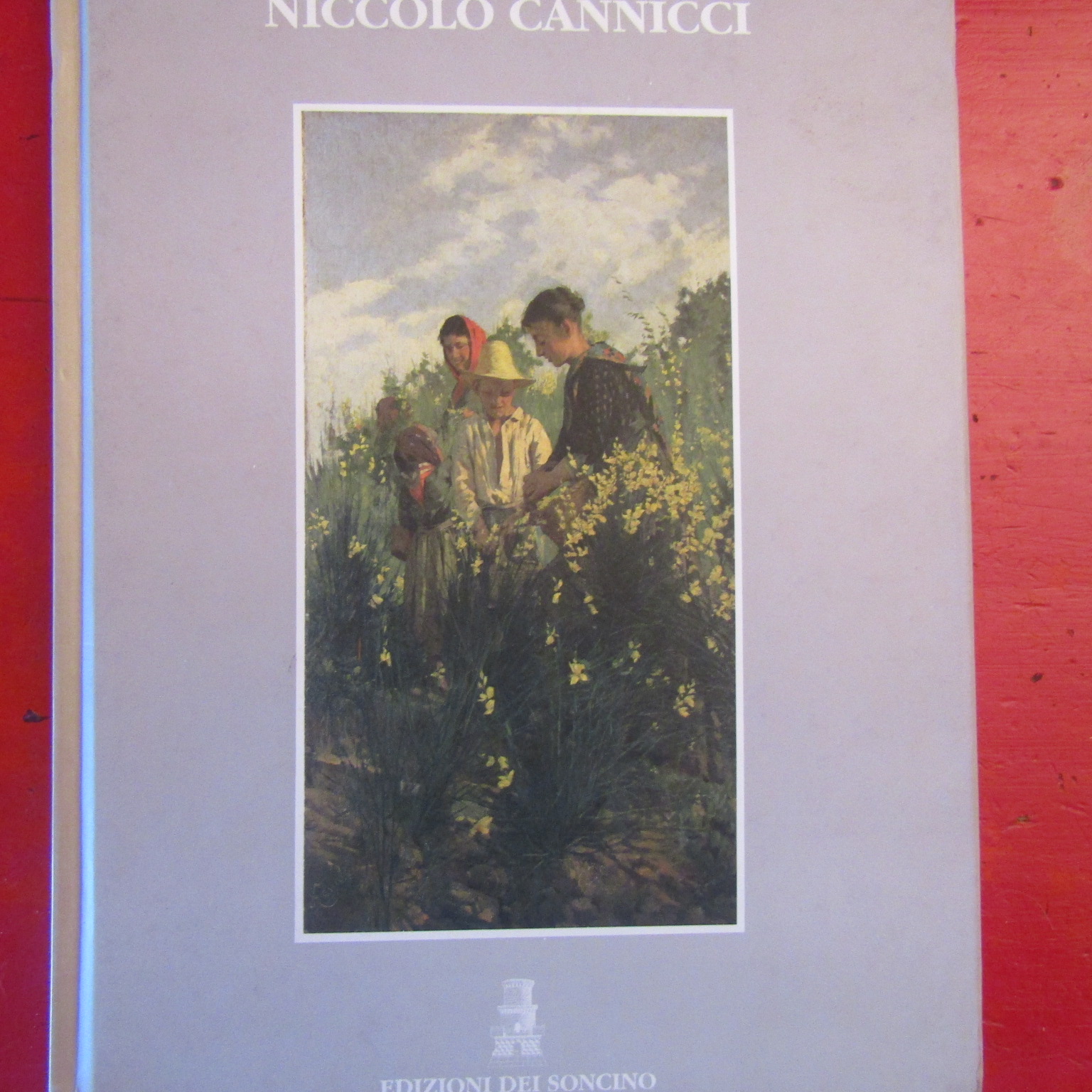 Niccolò Cannicci