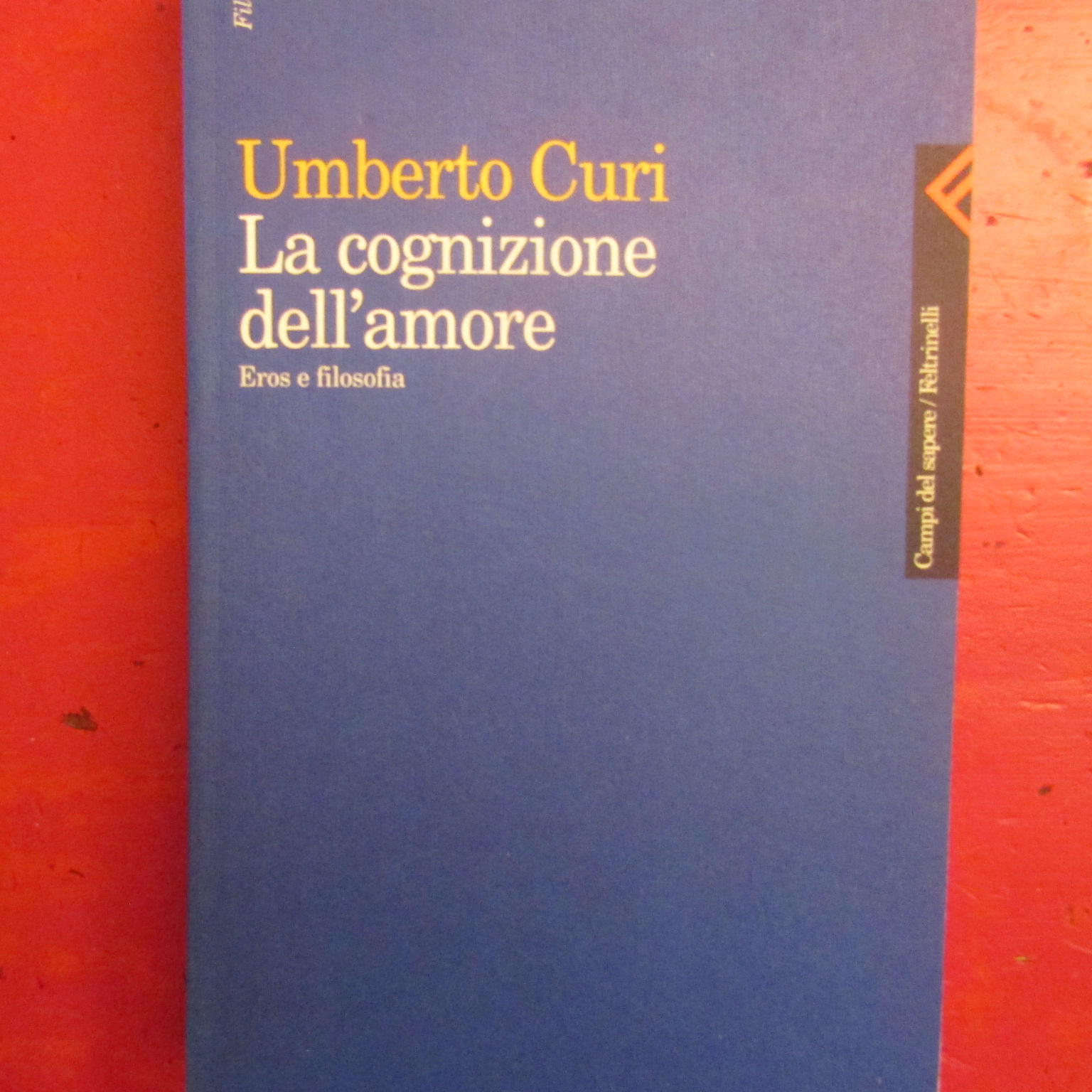 La cognizione dell'amore