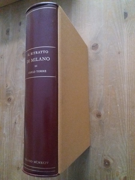 Il ritratto di Milano