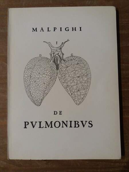 De pulmonibus
