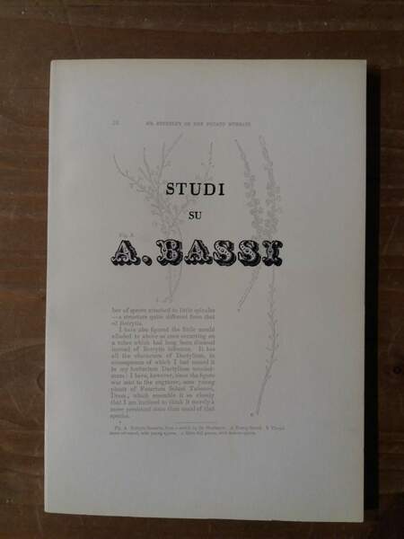 Studi su A. Bassi