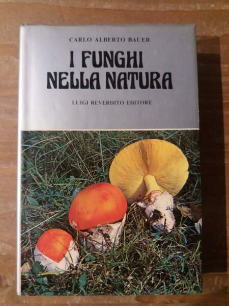 I funghi nella natura