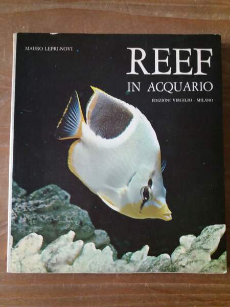 Reef in acquario