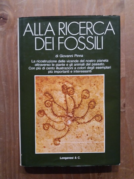 Alla ricerca dei fossili