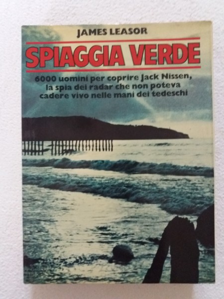 Spiaggia verde