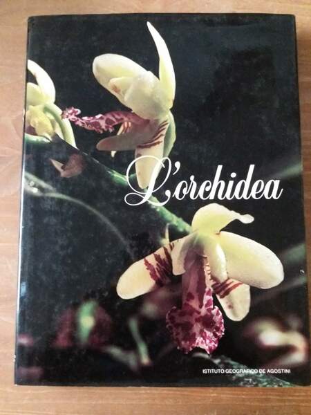 L'orchidea