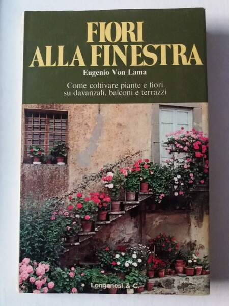 Fiori alla finestra