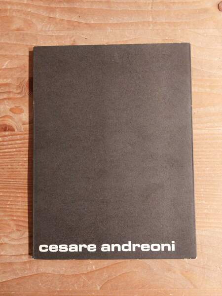 Cesare Andreoni