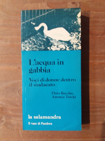 L'acqua in gabbia Voci di donne dentro il sindacato