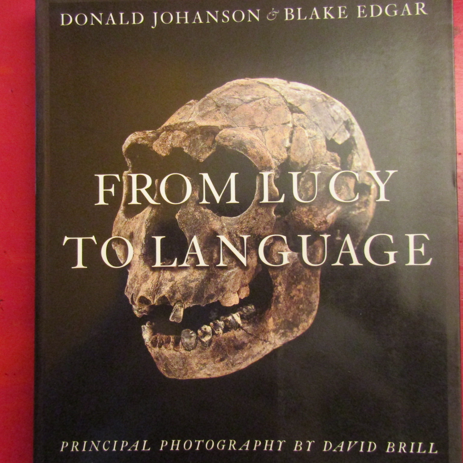 From Lucy to Language