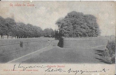 Cartolina illustrata (Scorcio mura di Lucca), Alla base firma autografa …