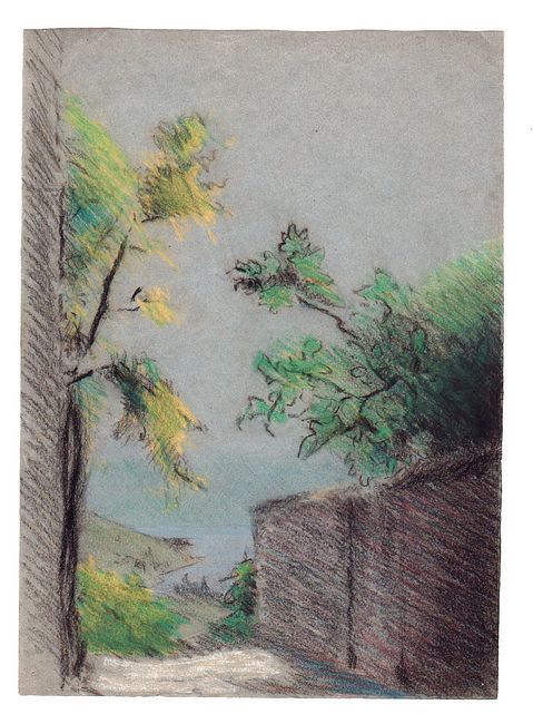 Disegno esguito a carboncino a colori.