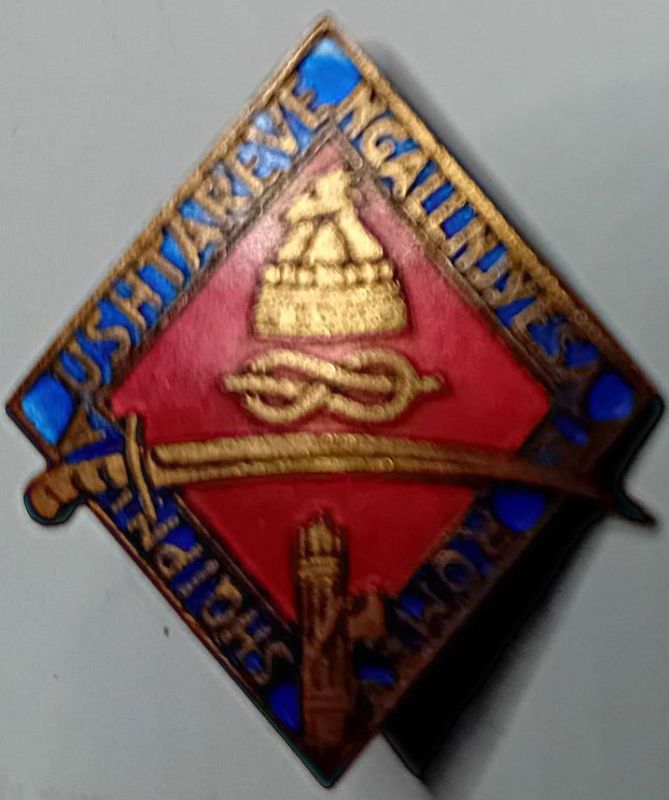 Distintivo romboidale in ottone e smalti, applicazione a spilla.