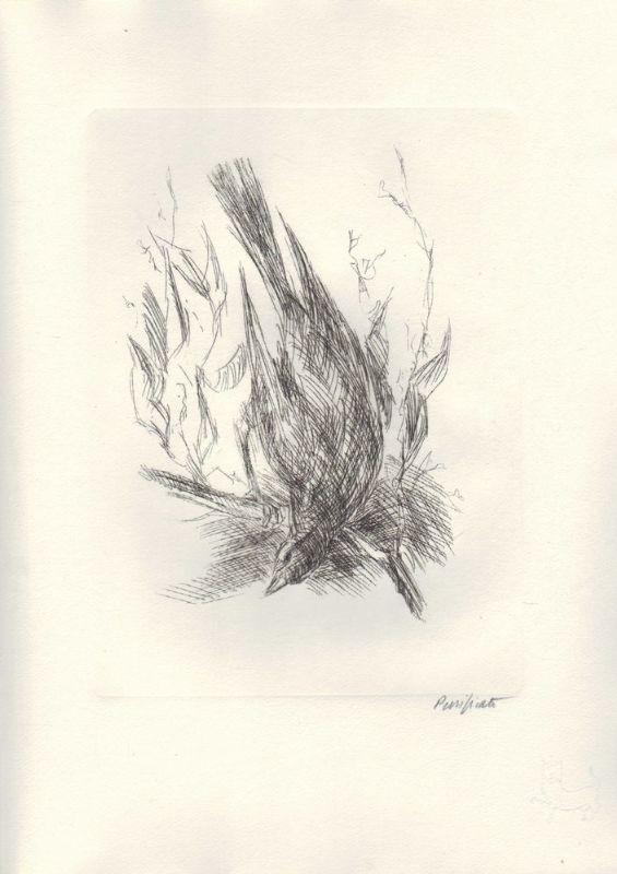 Elegie. Acqueforti di Purificato.