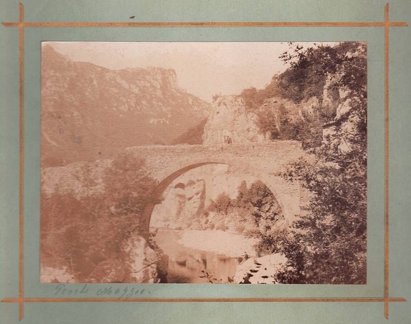 Fotografia all'albumina .