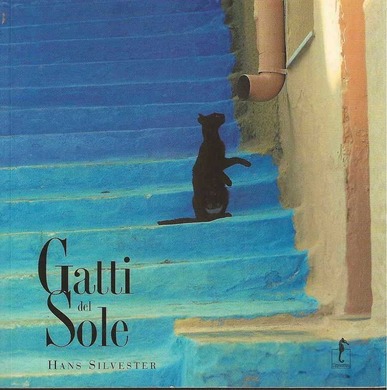 Gatti del Sole.