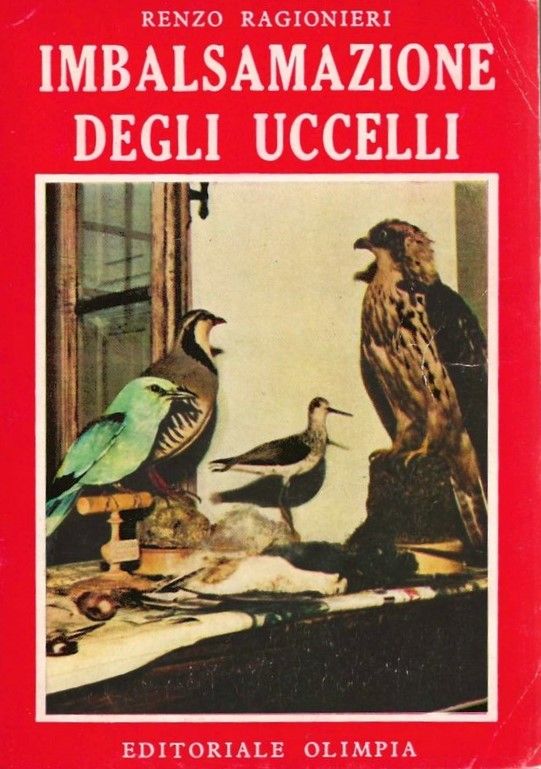 Imbalsamazione degli uccelli.