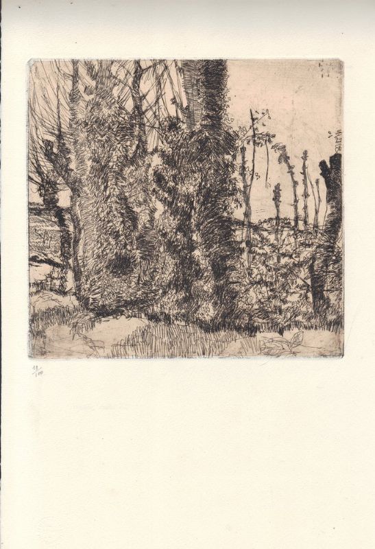 L'Eremo dei Frati Bianchi. Co quattro acqueforti.