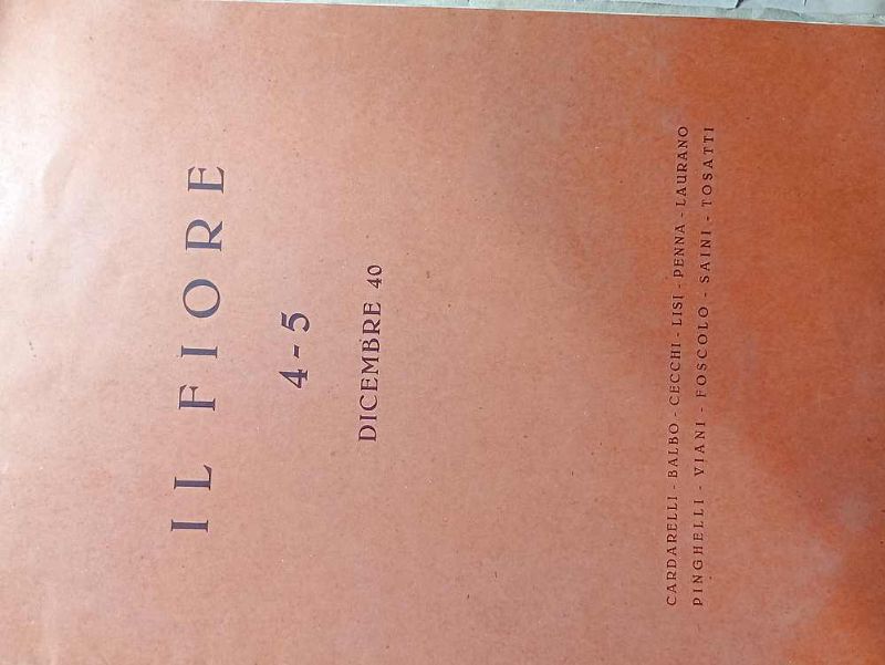 L'Ospizio Marino permanente - 'Maria Principessa di Piemonte' al Forte …