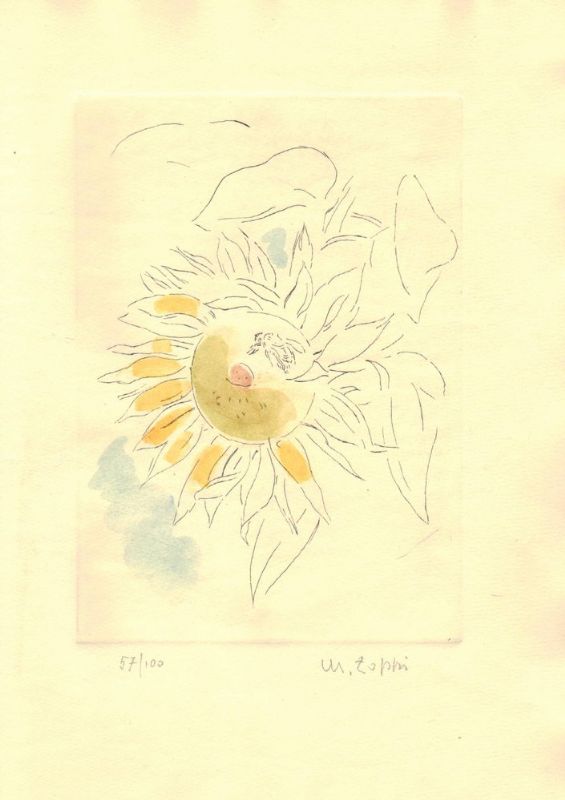 La mosca sulla rosa.