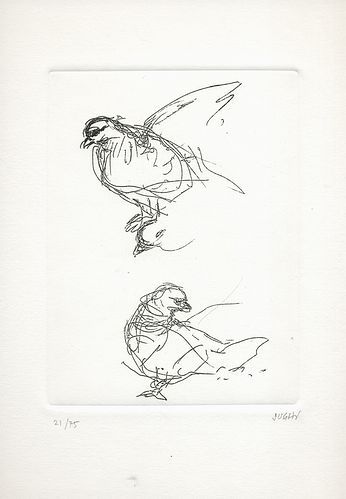 La pelle di coniglio.