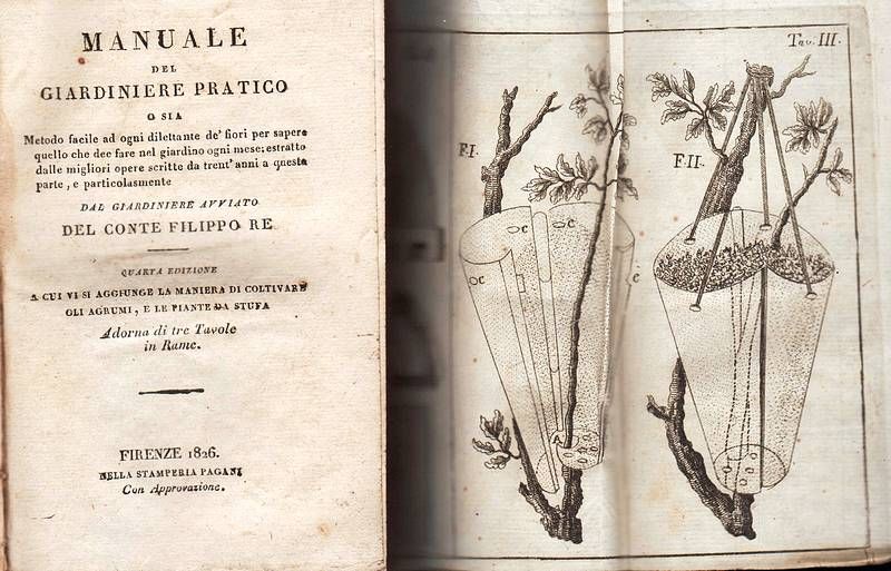 Manuale del giardiniere pratico o sia metodo facile ad ogni …
