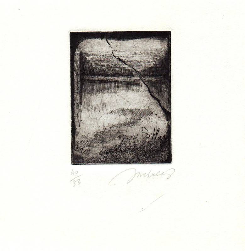 Passo passo per stagioni. Venti haiku scritti e uno inciso.