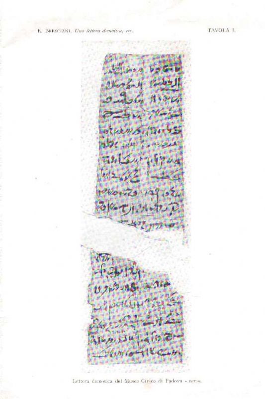 Una lettera demotica nel Museo Civico di Padova.