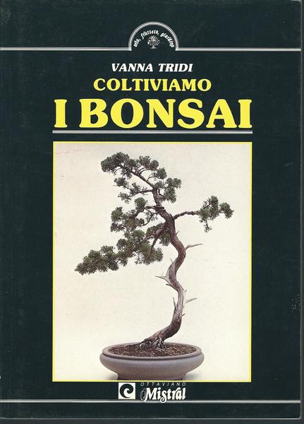 COLTIVIAMO I BONSAI