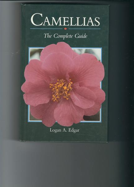 CAMELLIAS