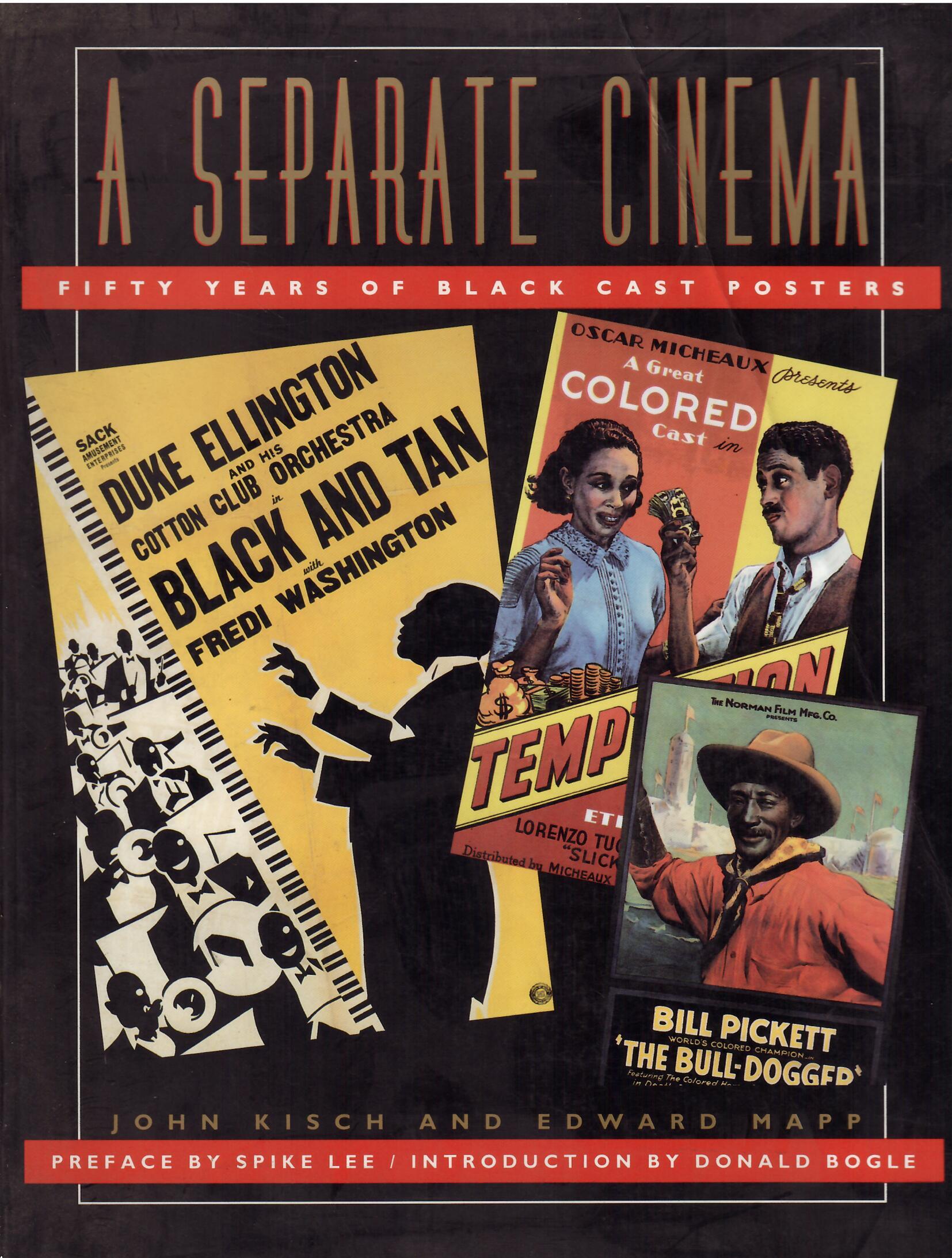 A SEPARATE CINEMA