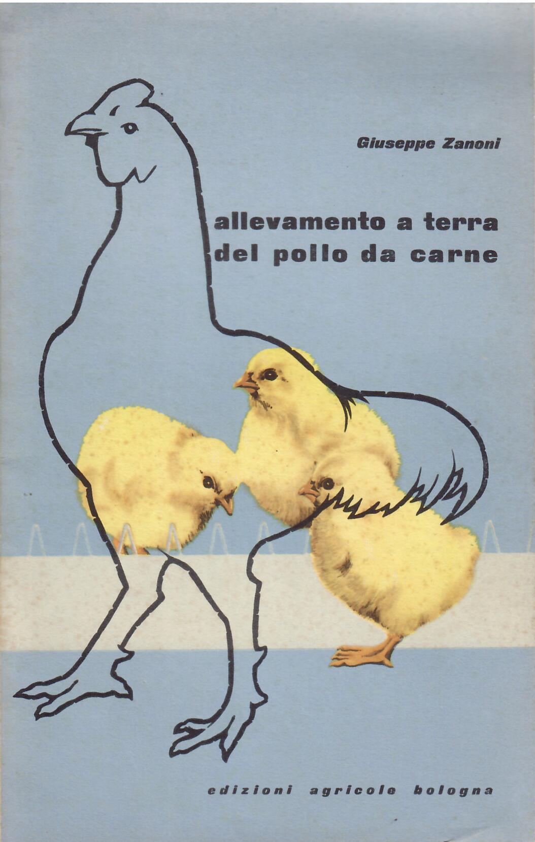 ALLEVAMENTO A TERRA DEL POLLO DA CARNE