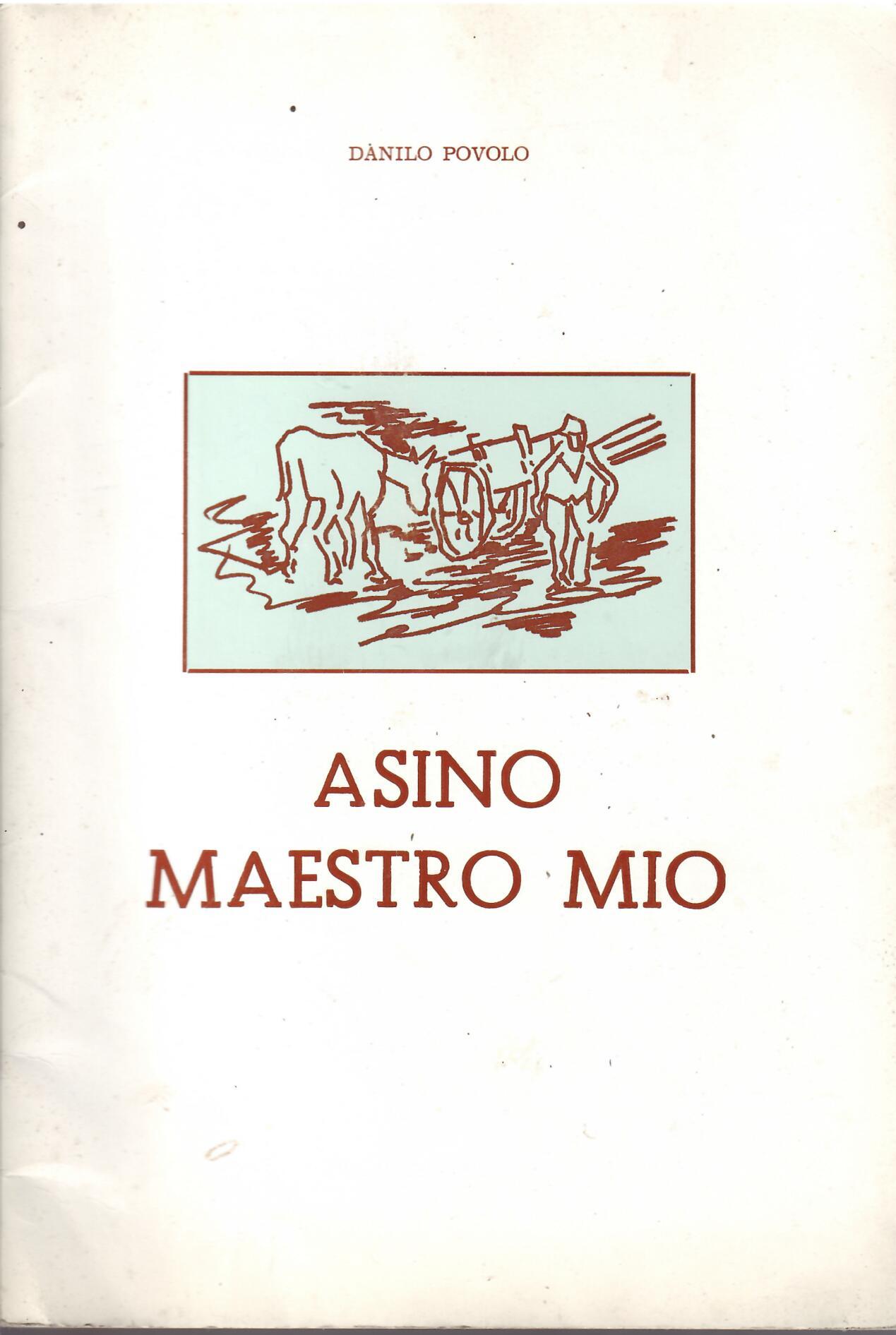 ASINO MAESTRO MIO