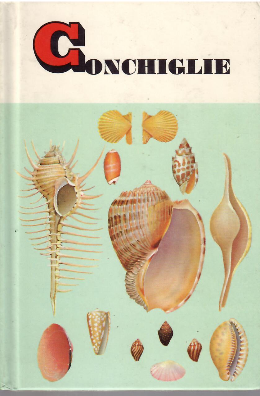 CONCHIGLIE SPECIE DI TUTTO IL MONDO