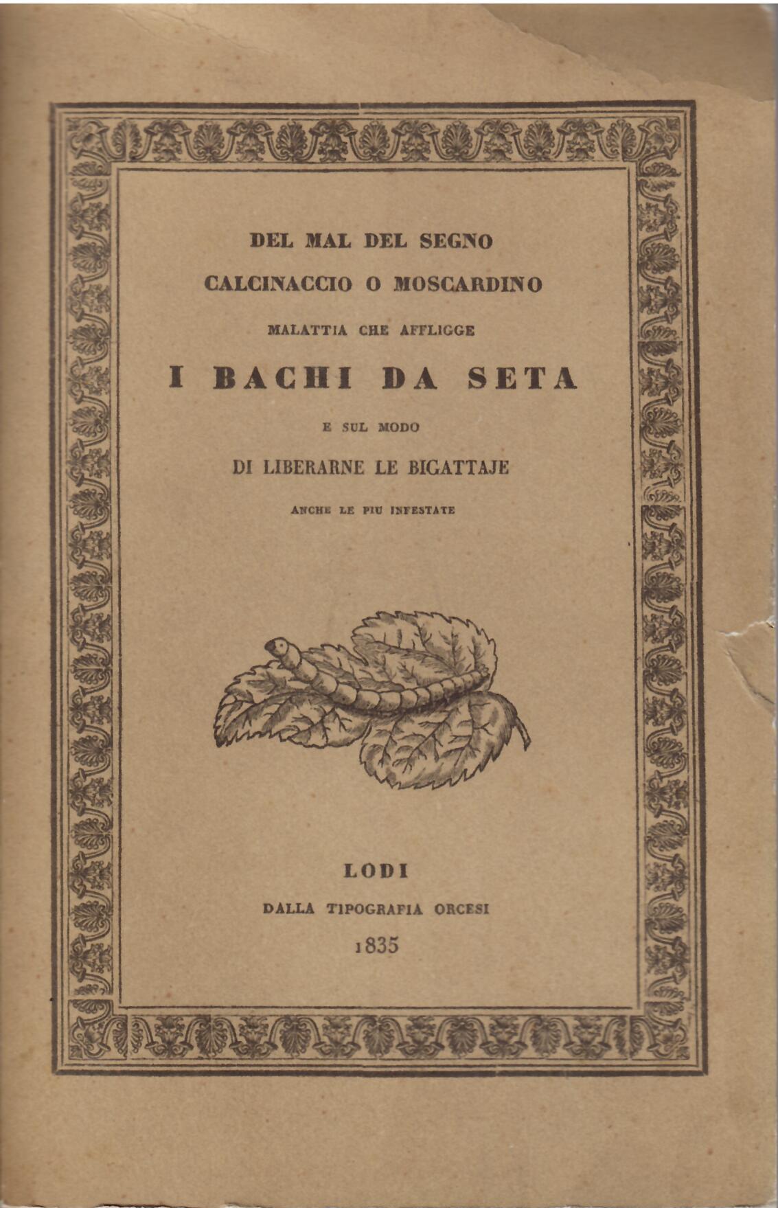 DEL MAL DEL SEGNO CALCINACCIO O MOSCARDINO MALATTIA CHE AFFLIGGE …