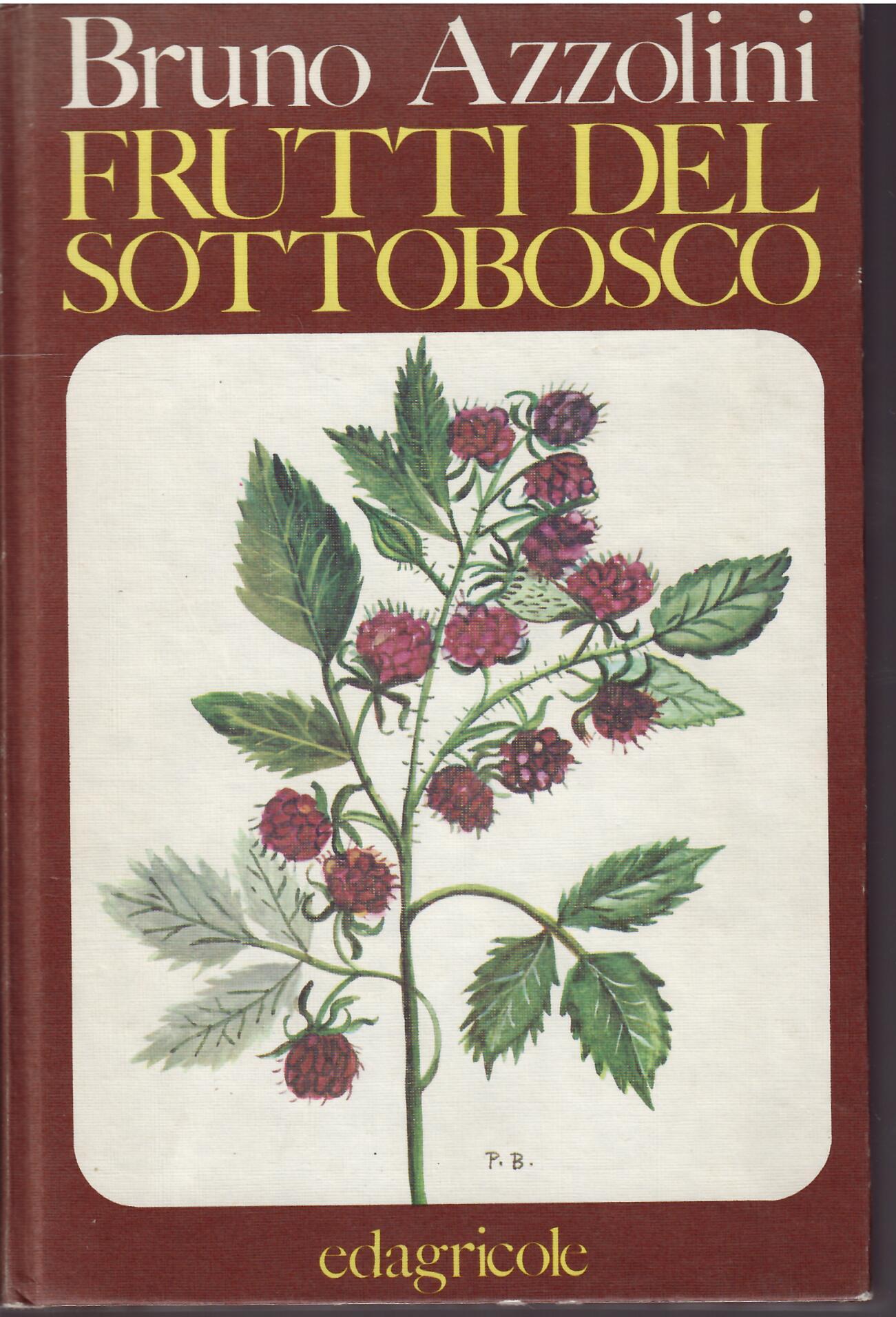 FRUTTI DEL SOTTOBOSCO - MORFOLOGIA DI PIANTE FRUTTIFERE