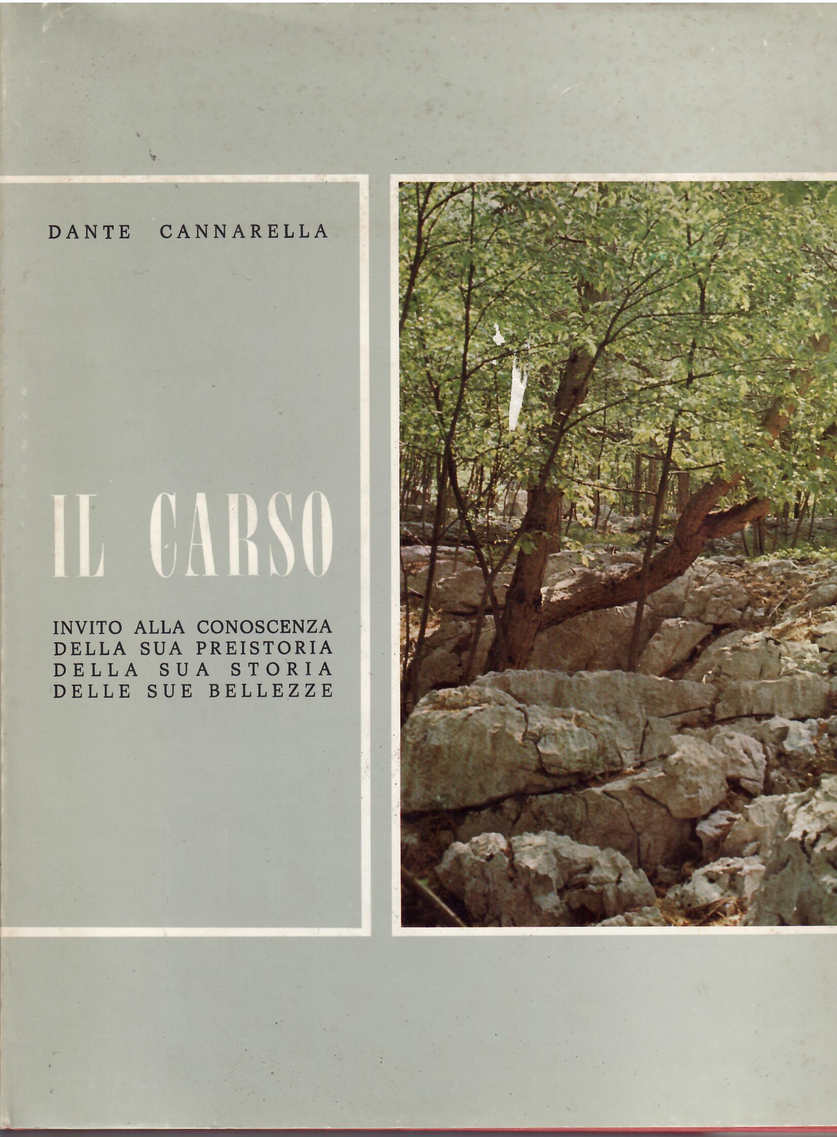 IL CARSO - INVITO ALLA CONOSCENZA DELLA SUA PREISTORIA DELLA …