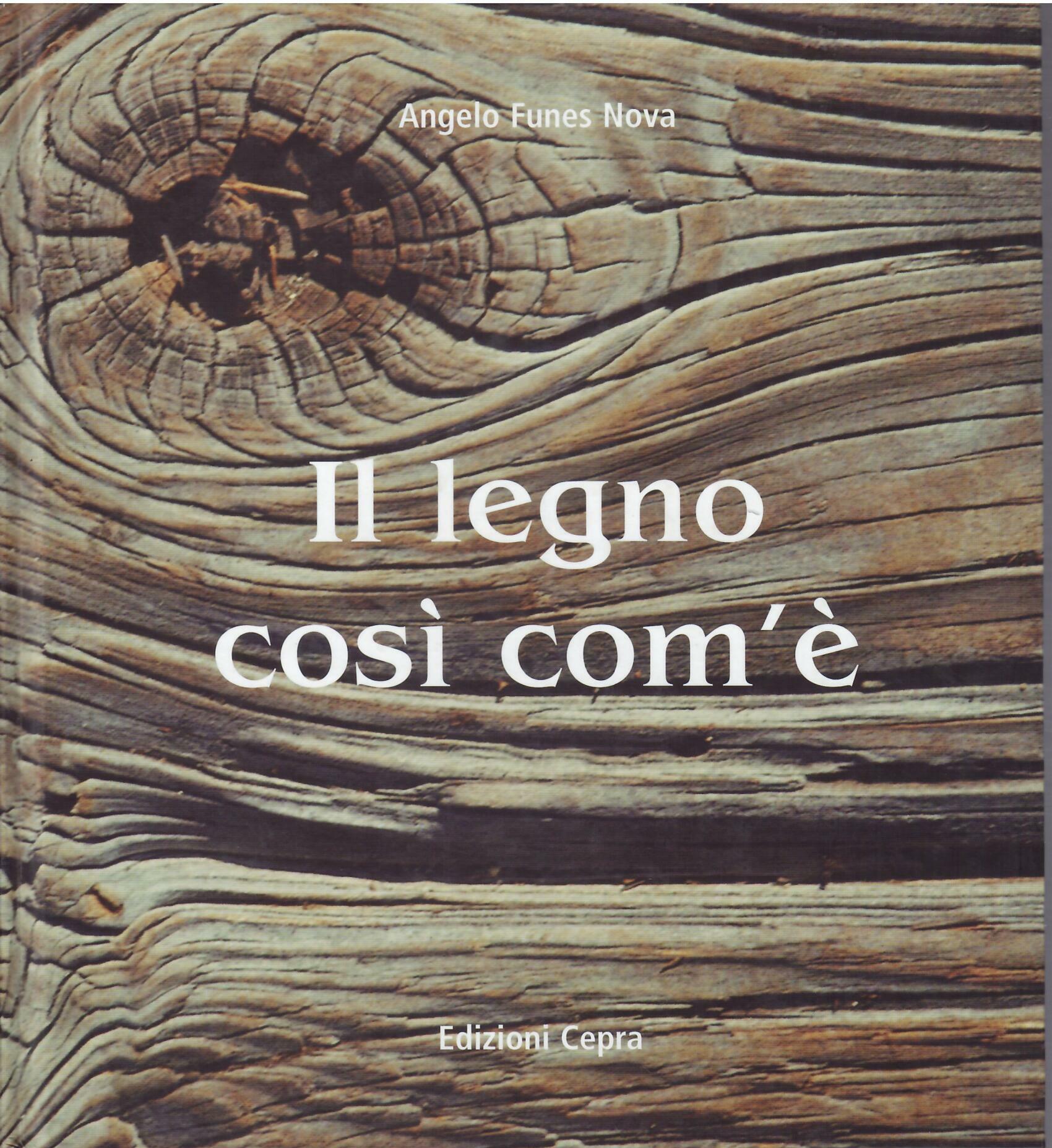 IL LEGNO COSI' COM'E'