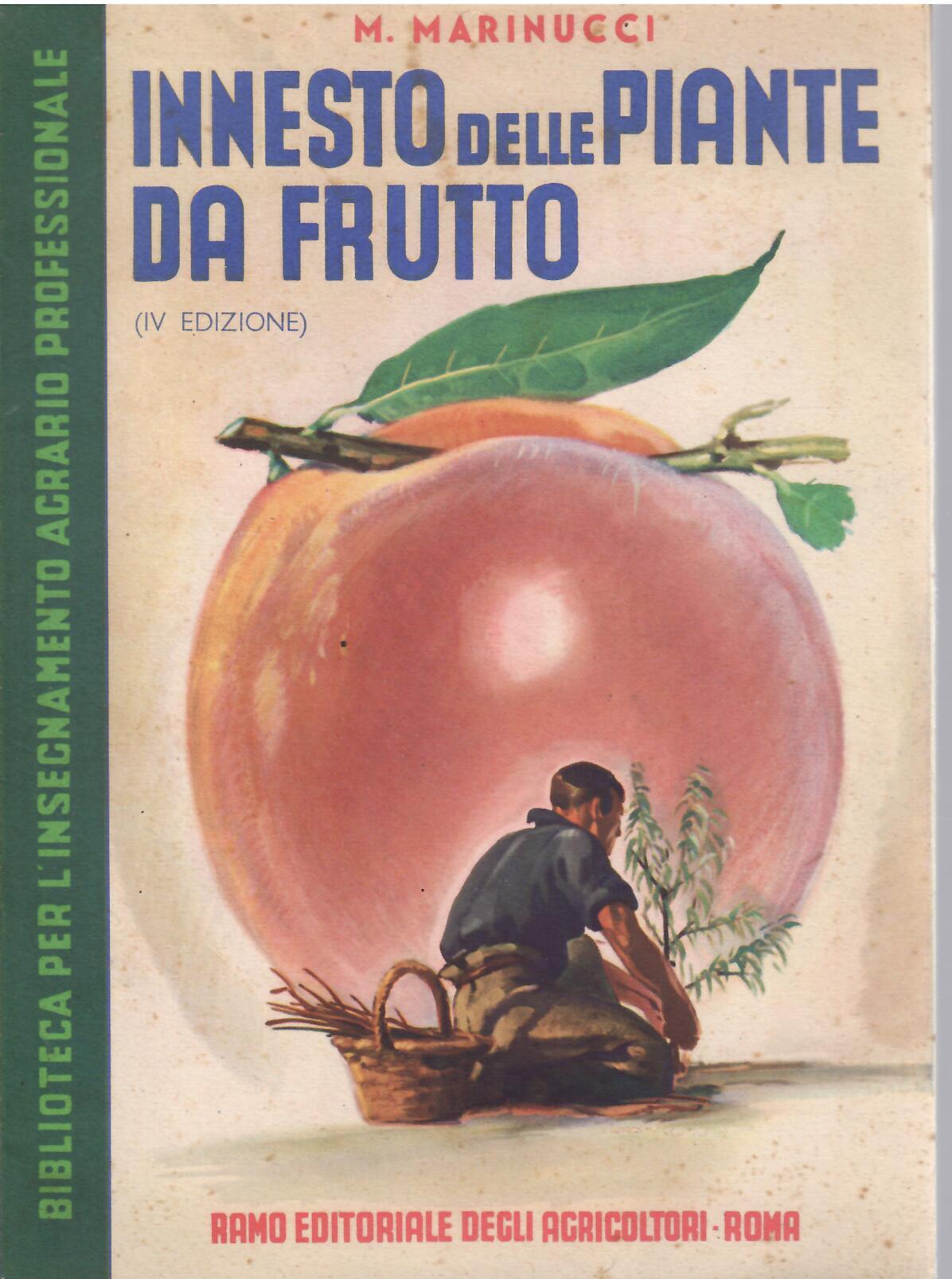 INNESTO DELLE PIANTE DA FRUTTO