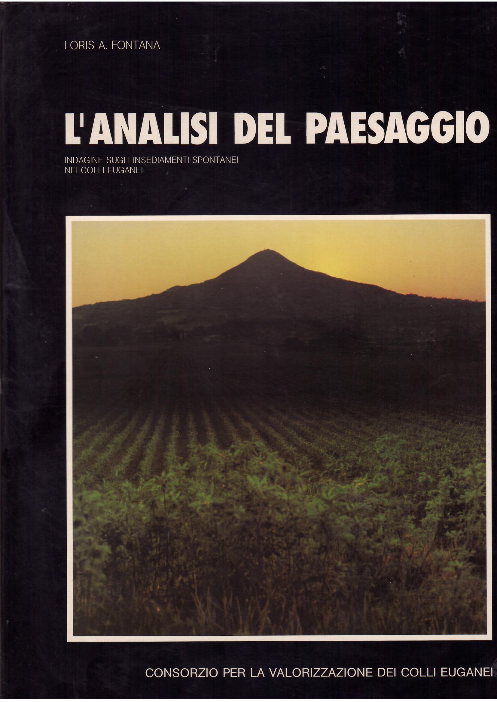 L'ANALISI DEL PAESAGGIO - INDAGINE SUGLI INSEDIAMENTI SPONTANEI NEI COLLI …