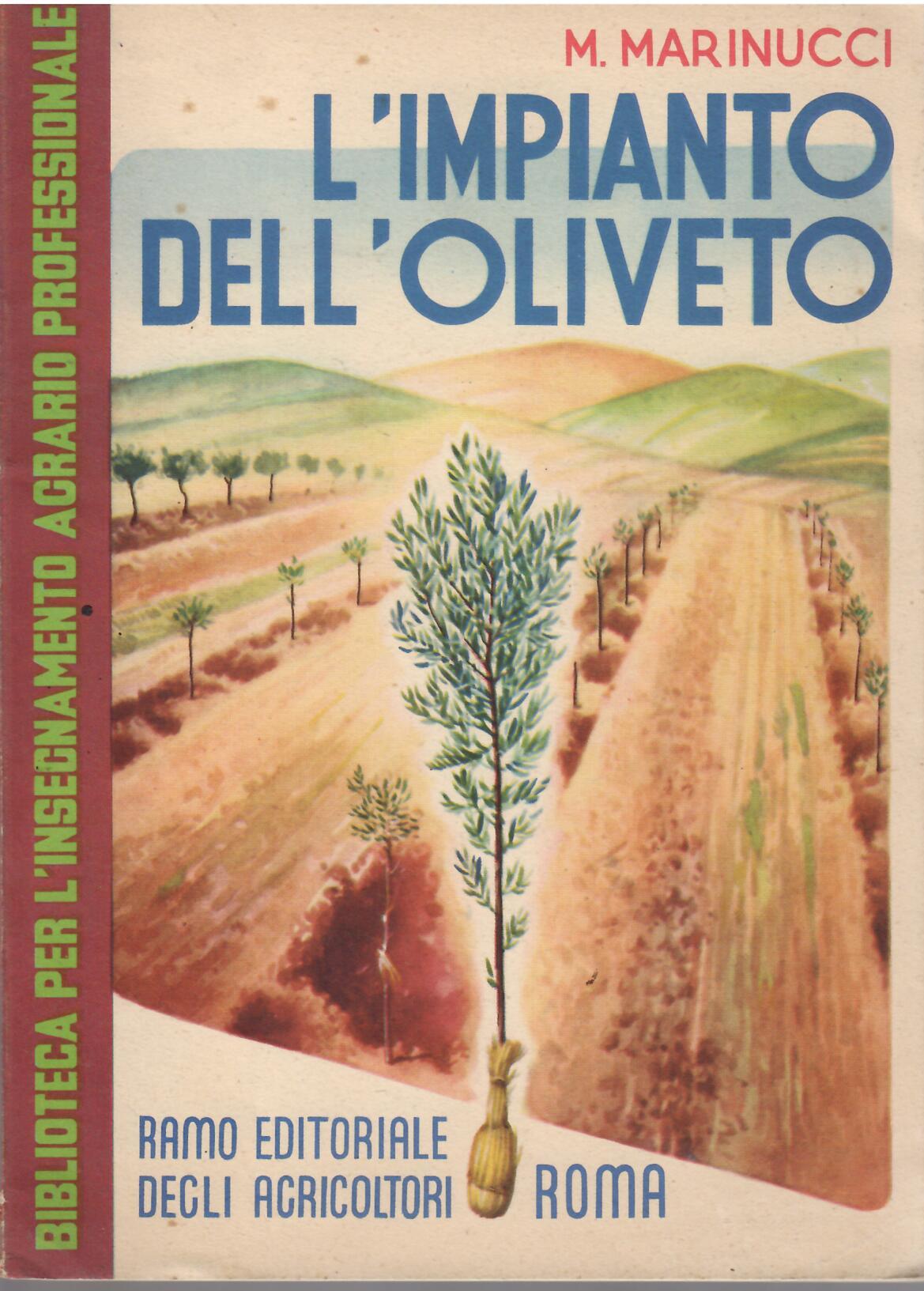 L'IMPIANTO DELL'OLIVETO