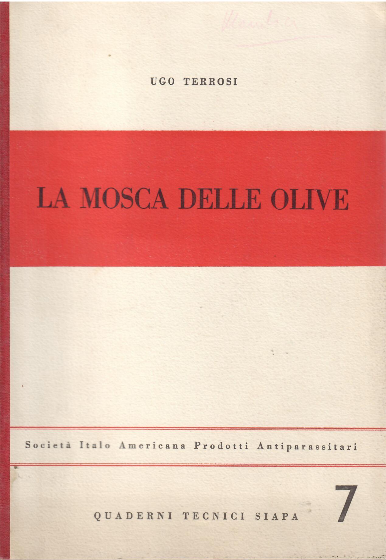 LA MOSCA DELLE OLIVE