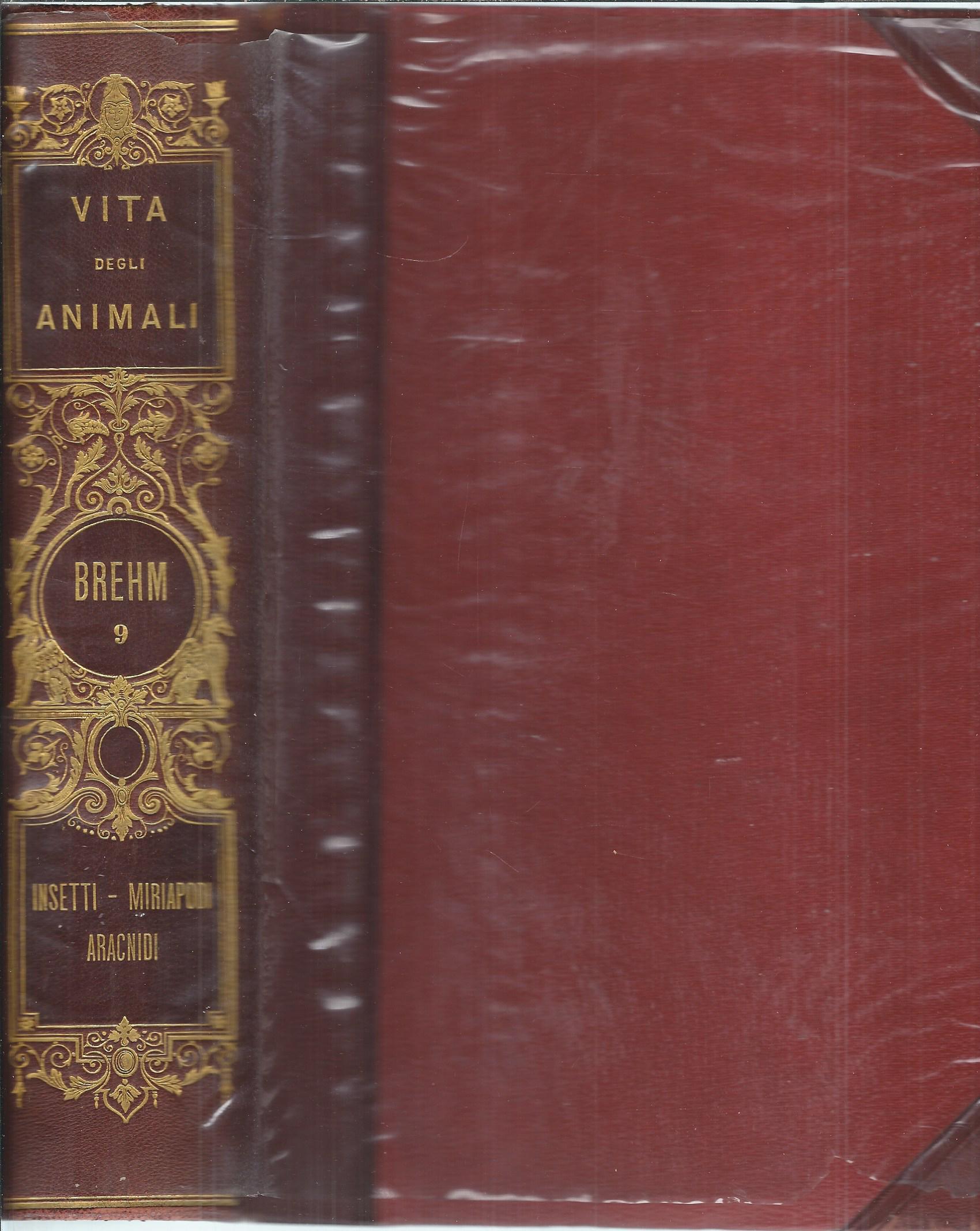 LA VITA DEGLI ANIMALI - VOLUME NONO - INSETTI - …