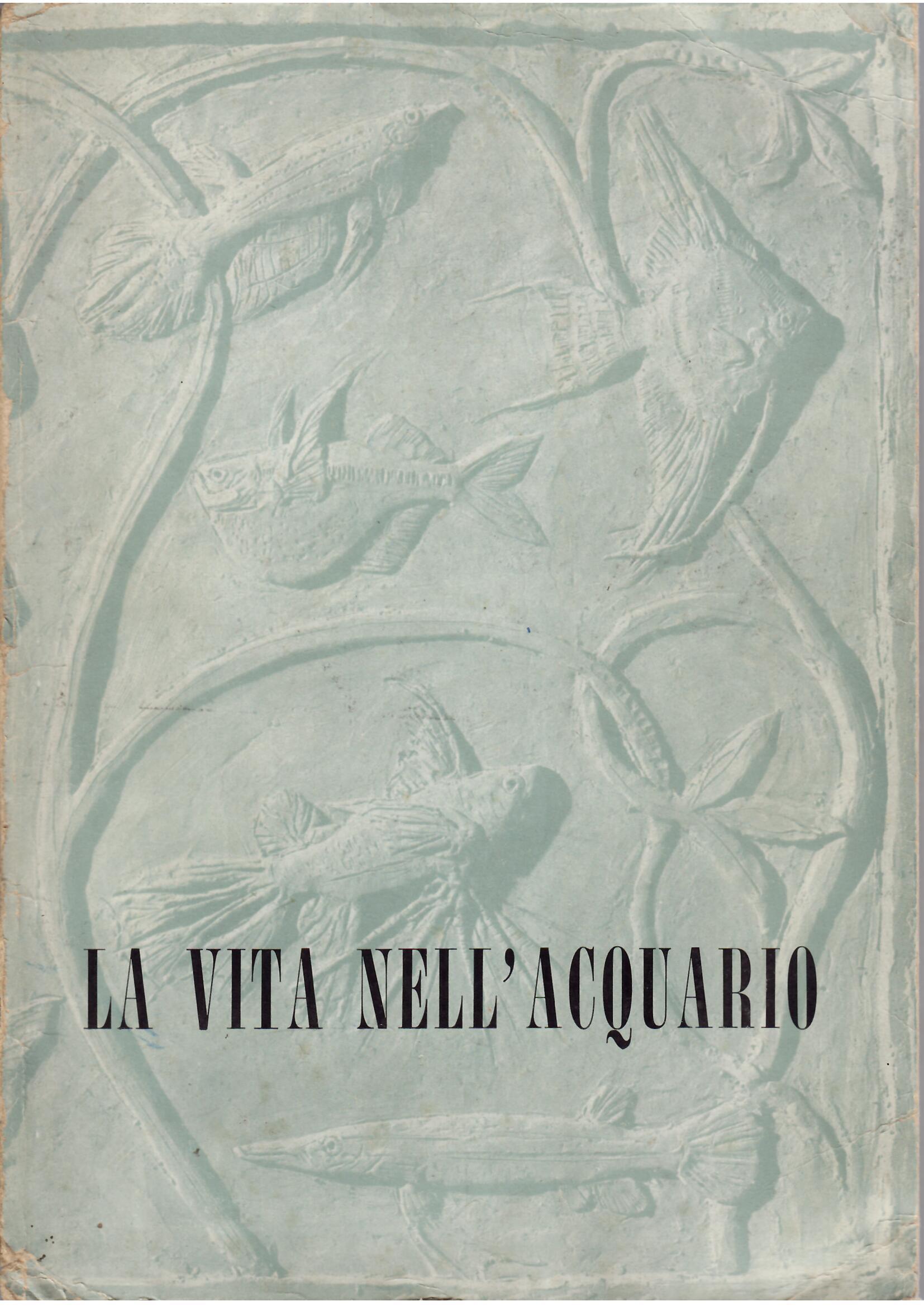 LA VITA NELL'ACQUARIO