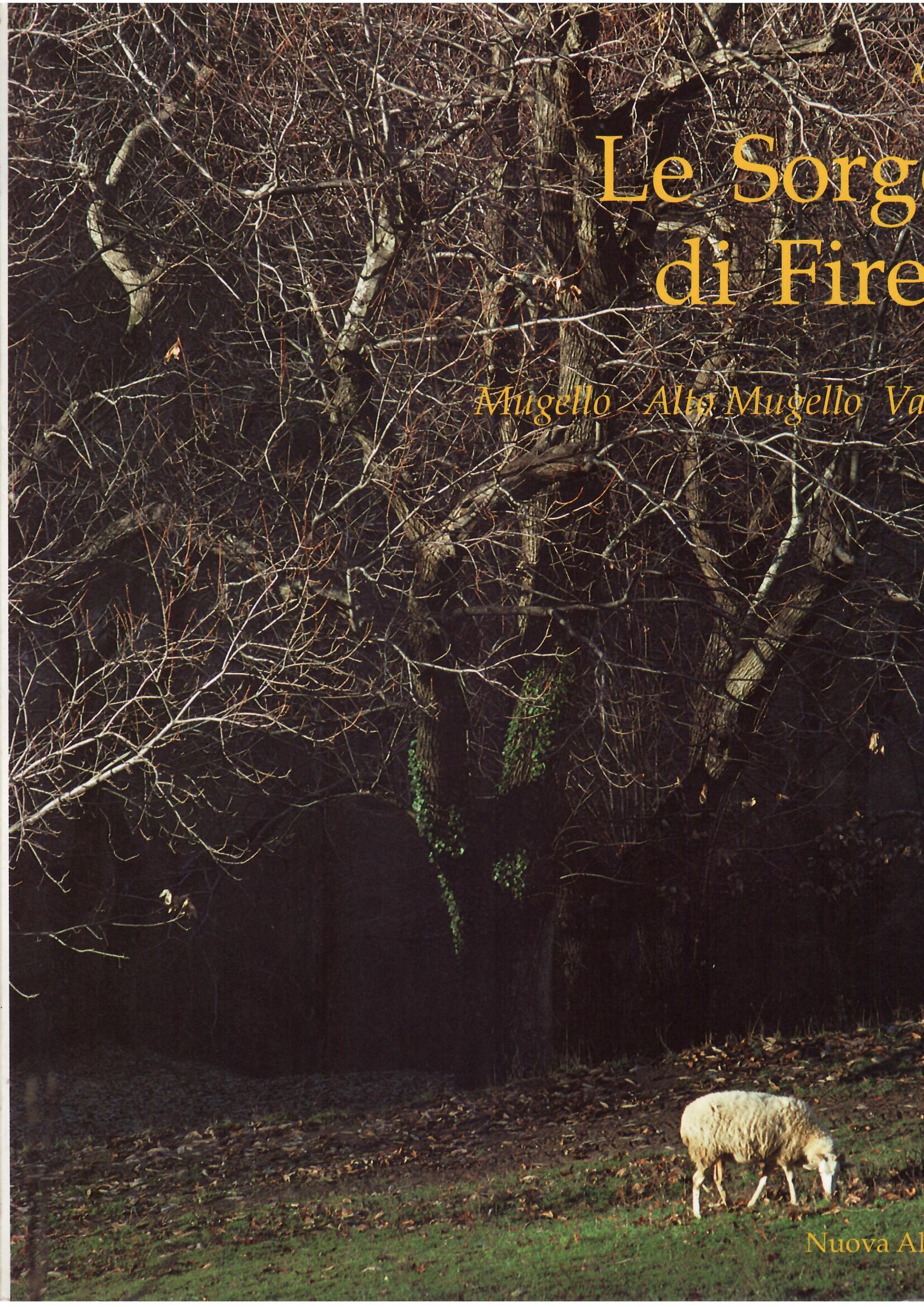 LE SORGENTI DI FIRENZE