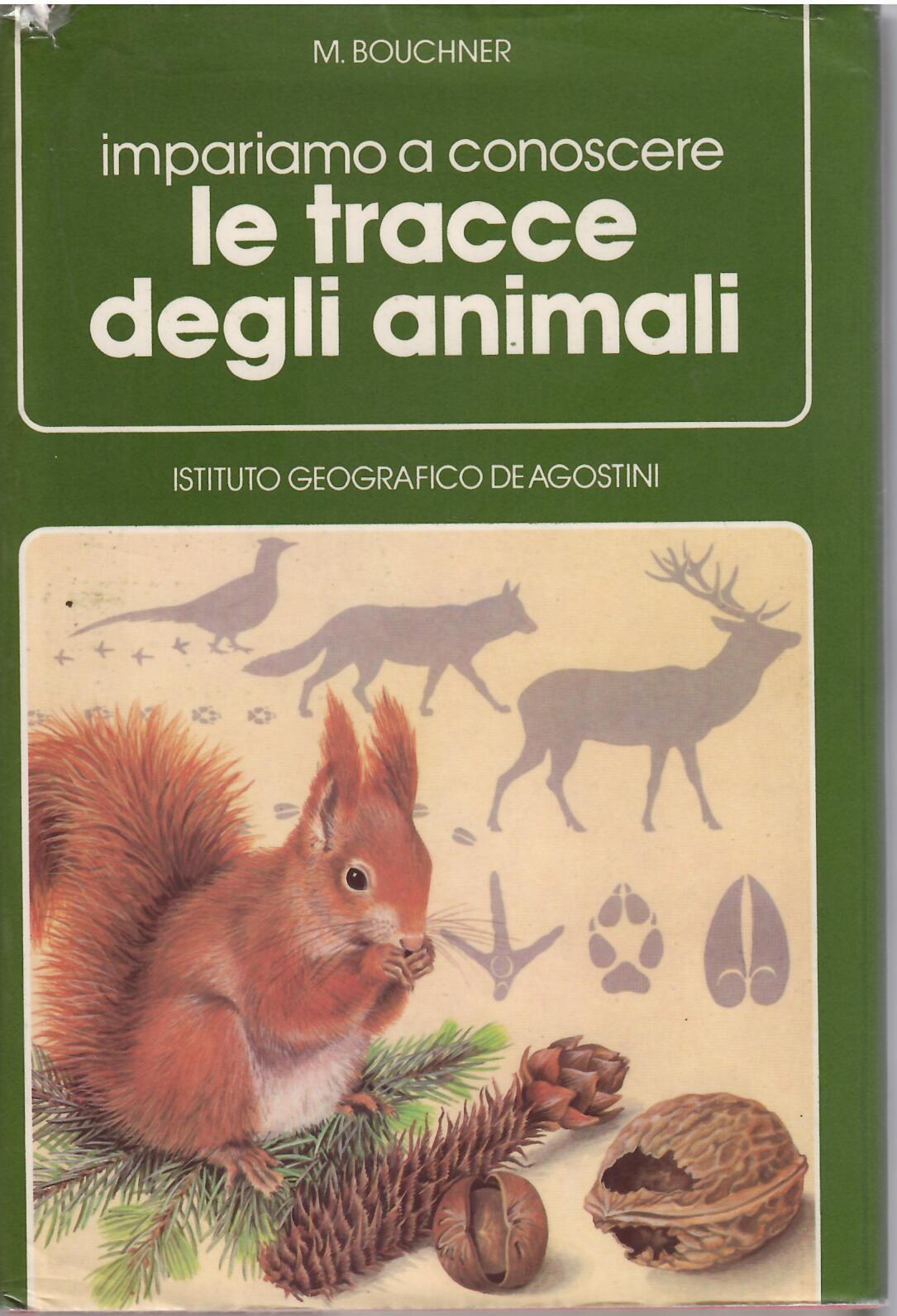 LE TRACCE DEGLI ANIMALI