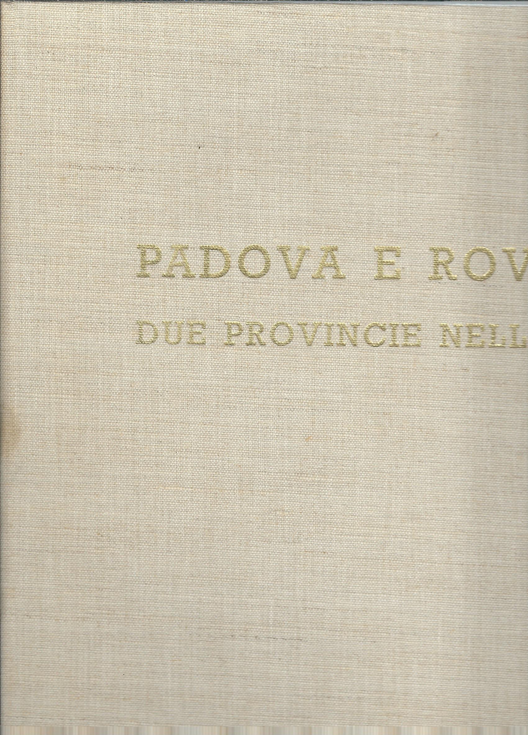 PADOVA E ROVIGO DUE PROVINCIE NELL'ARTE