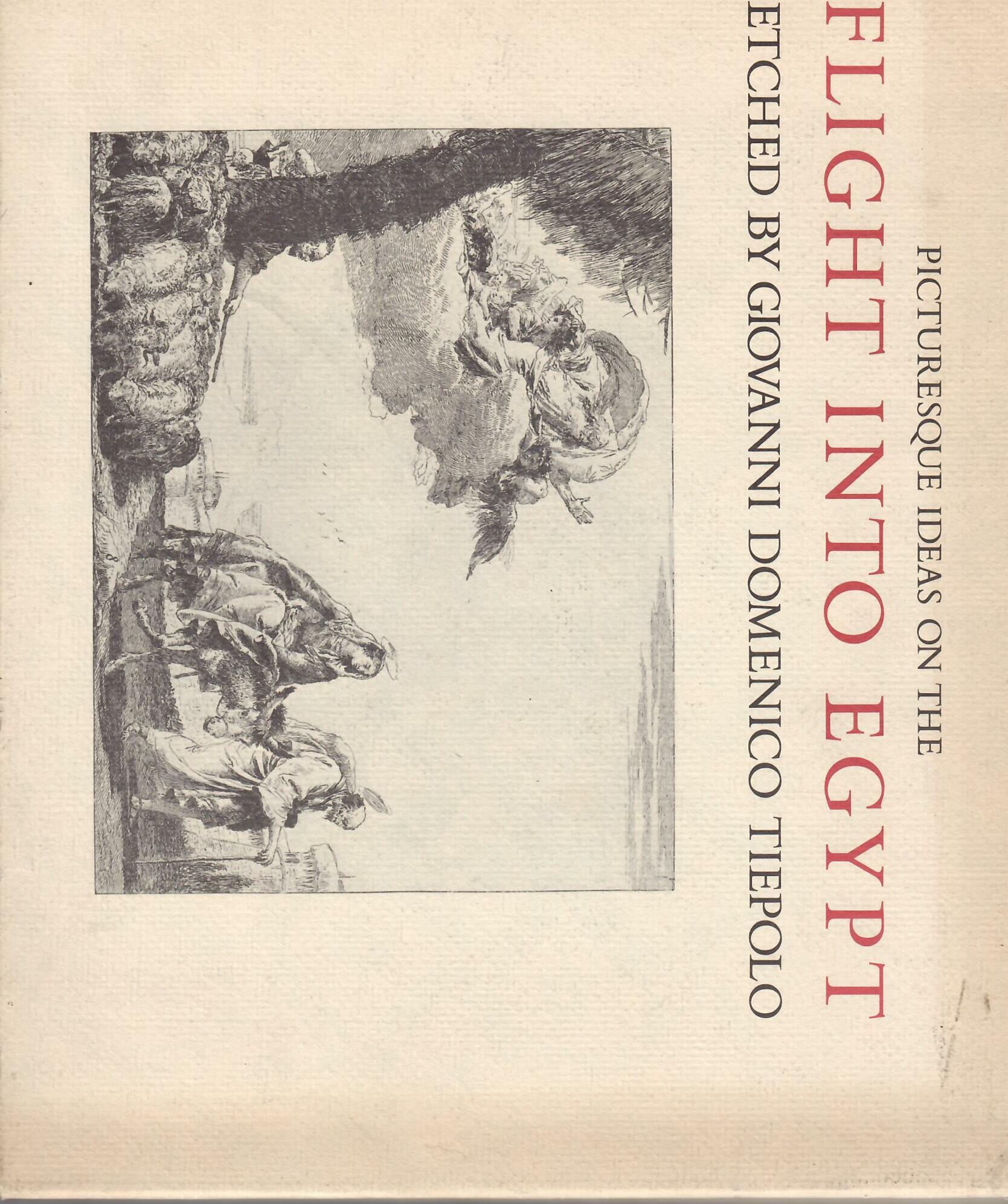 PICTURESQUE IDEAS ON THE FLIGHT INTO EGYPT