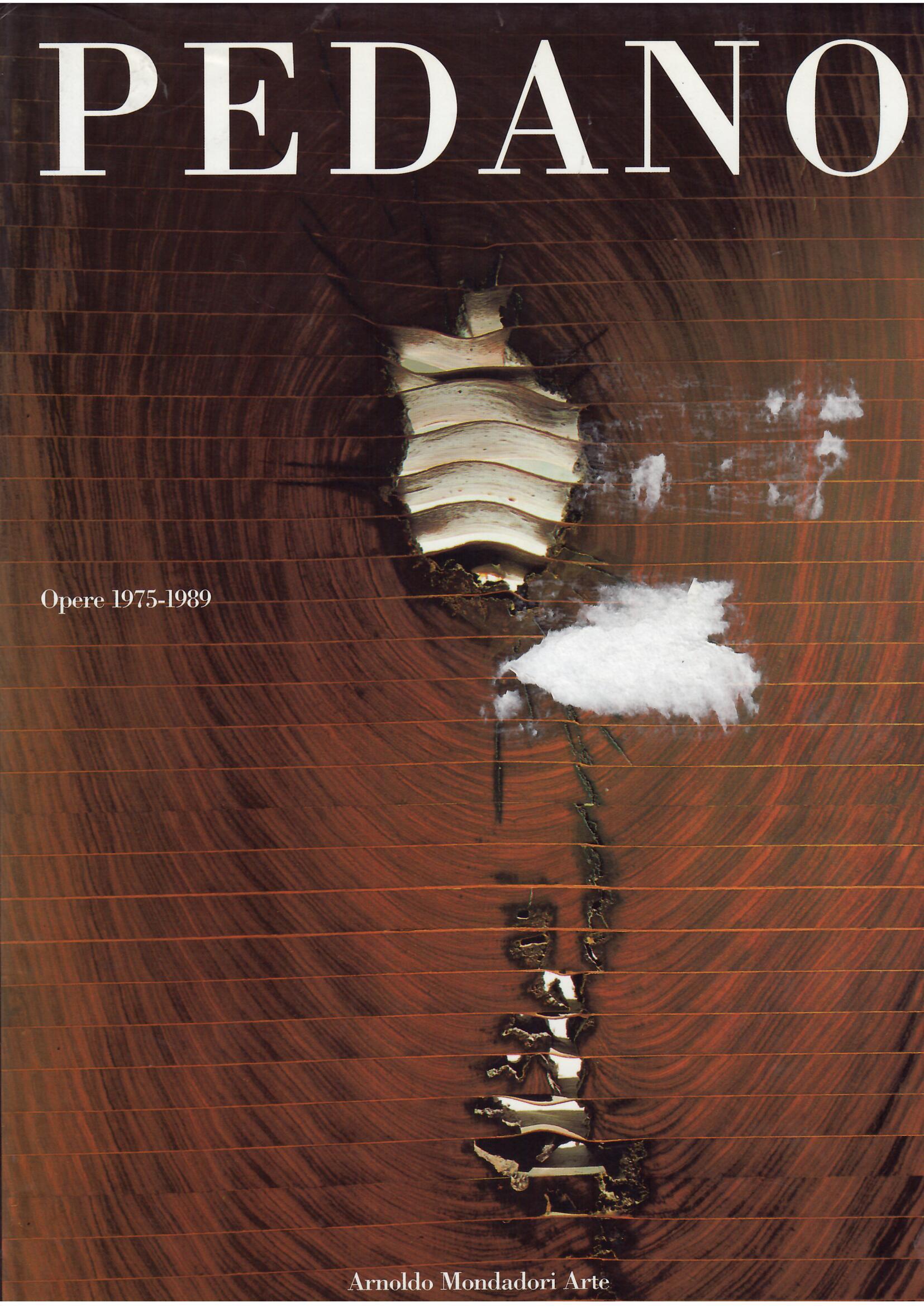 PINO PEDANO - OPERE 1975 - 1989
