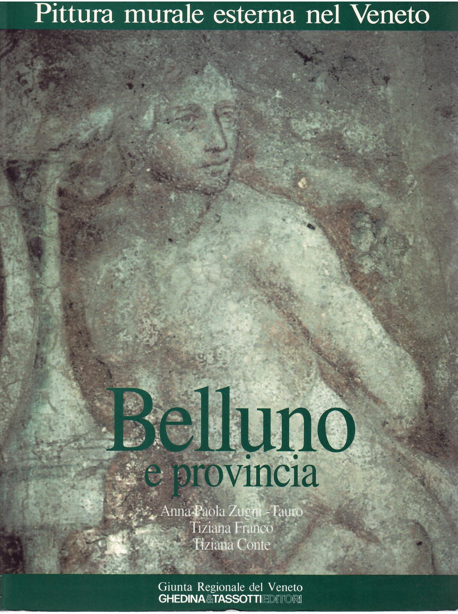 PITTURA MURALE ESTERNA NEL VENETO - BELLUNO E PROVINCIA